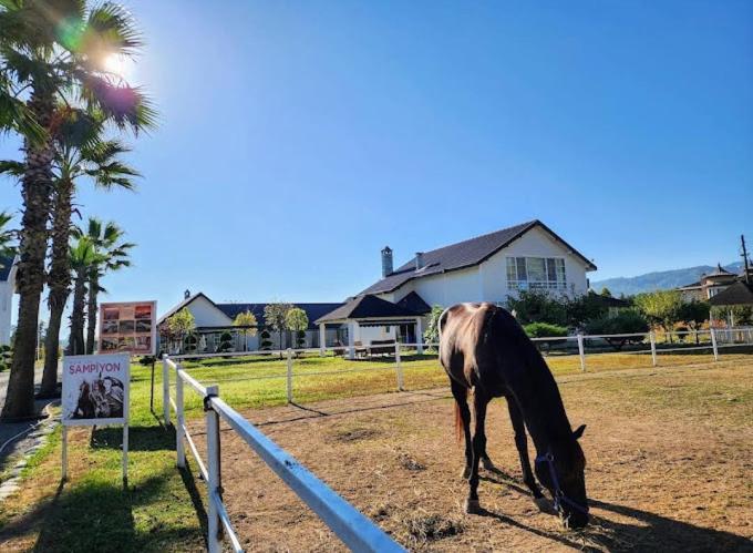 Serbesler Botanik, No 1 Comfortable Villa Sakarya  Exteriér fotografie