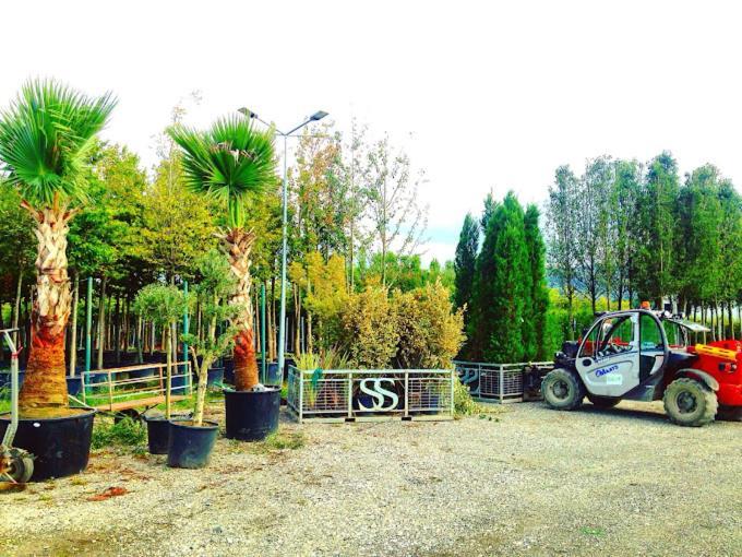 Serbesler Botanik, No 1 Comfortable Villa Sakarya  Exteriér fotografie
